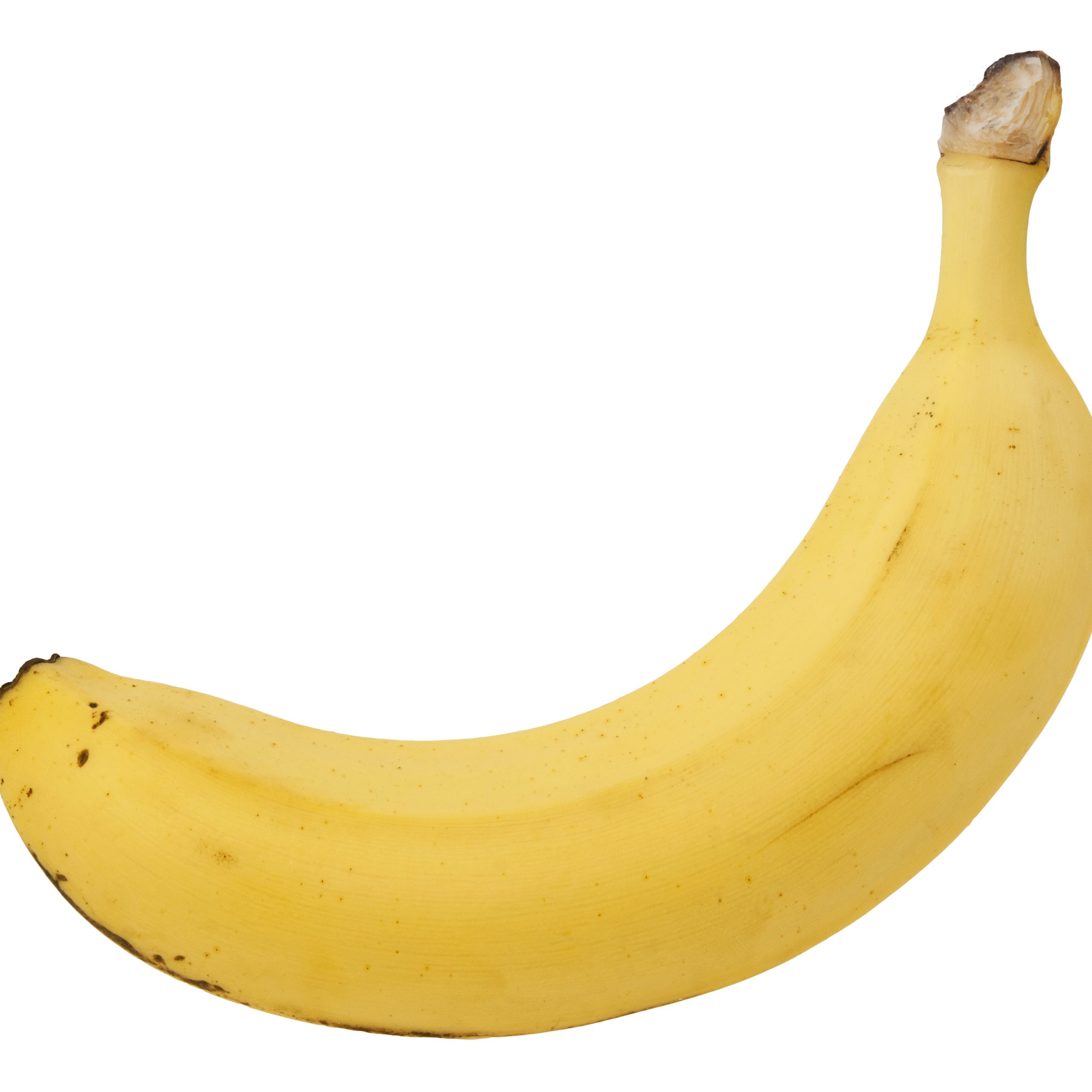 Organic Cavendish Bananas